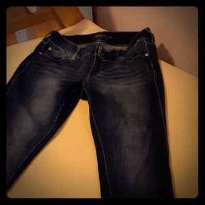 Torrid Jeans